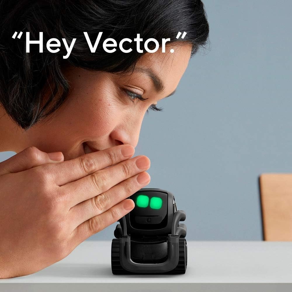 Robot Pintar AI ChatGPT 2.0, R - Smart Home Robot ulasan dan harga
